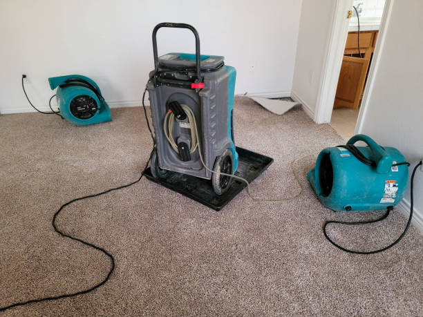 Best Sewage cleanup and water damage restoration  in East Wenatchee, WA