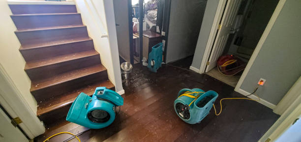 Best Water damage restoration mold remediation  in East Wenatchee, WA
