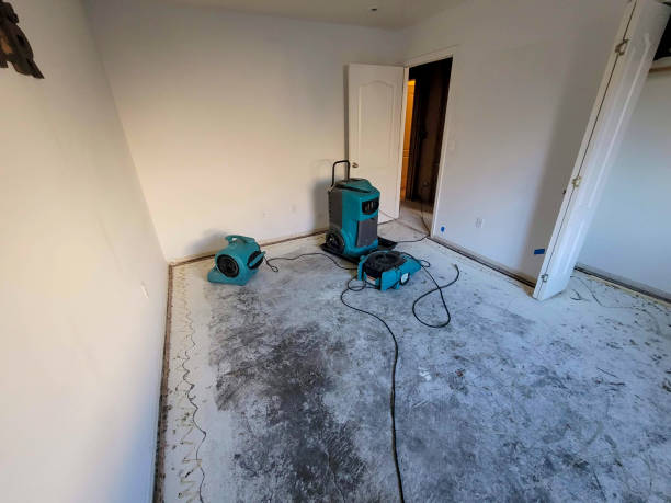 Best Professional water damage repair  in East Wenatchee, WA
