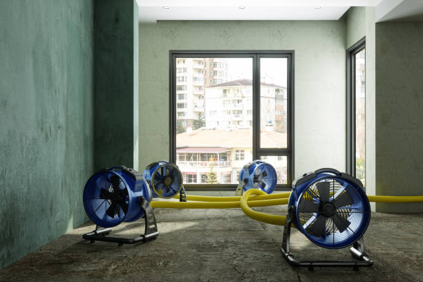 Best Carpet water damage restoration  in East Wenatchee, WA