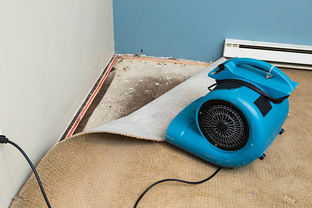 Water damage restoration mold remediation in East Wenatchee, WA